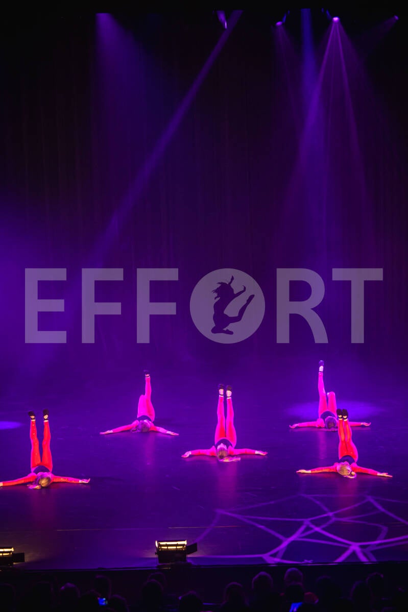 effort-logo-80.jpg