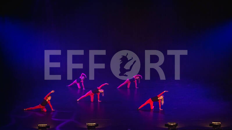effort-logo-82.jpg