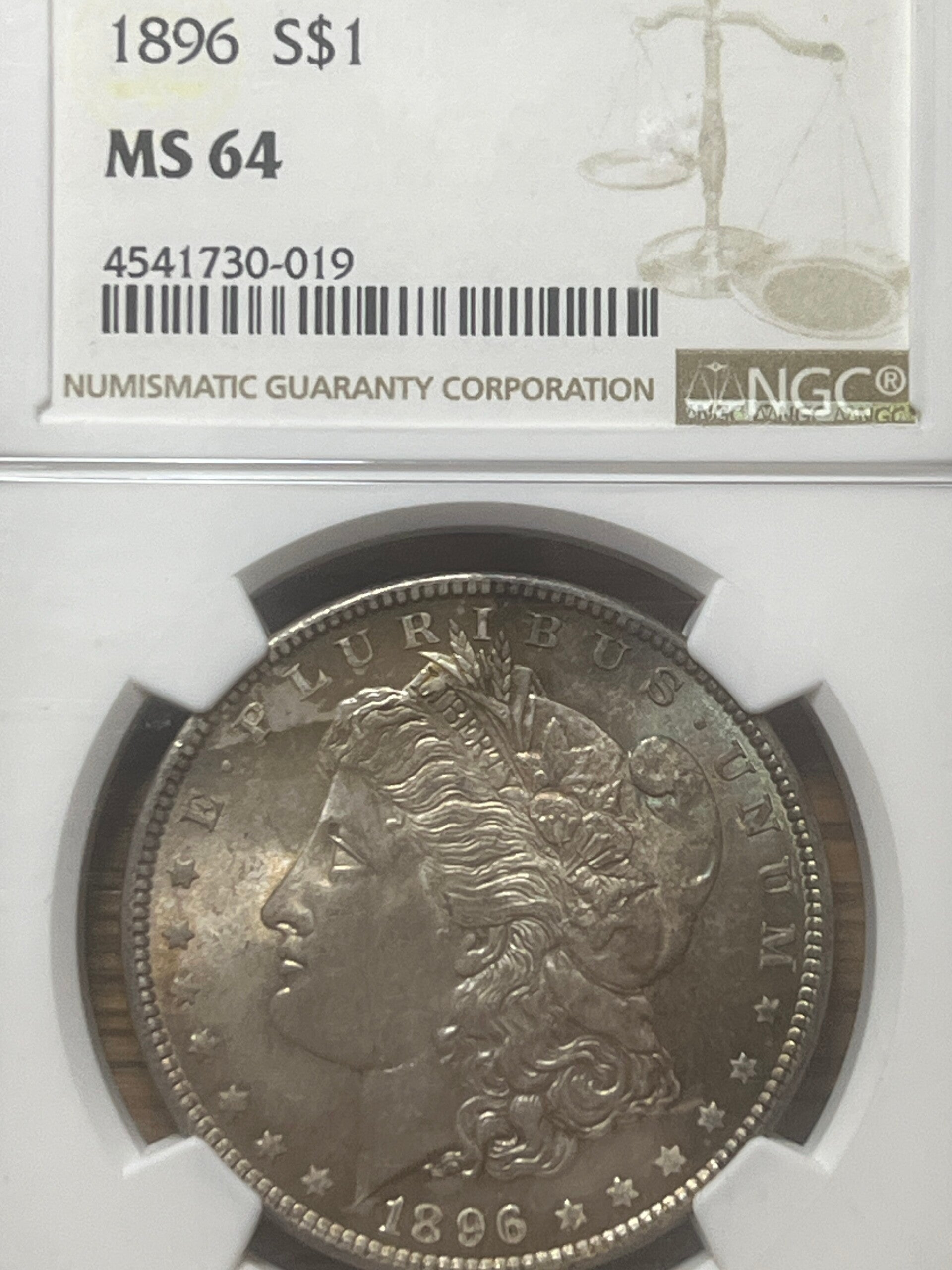 1896 Morgan Dollar