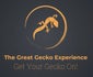 The Great Gecko Experience