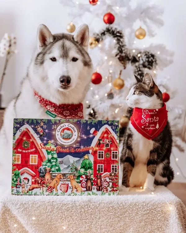 Adventkalender für Hunde & Katzen