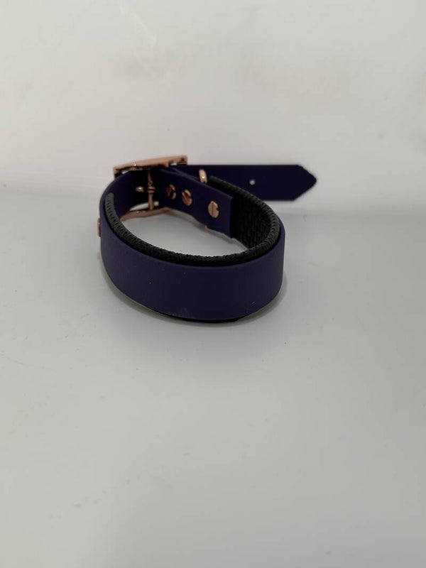 Biothane Halsband mit Schaumstoffunterlegung - Violet