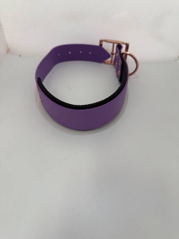 Biothane Halsband mit Schaumstoffunterlegung - Orchidee