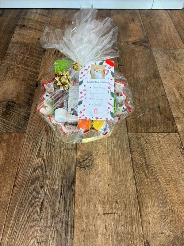Geschenkskorb Katze/Kitten Tierheim Vösendorf
