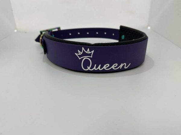 Biothane Halsband mit Schaumstoffunterlegung - Violett Queen