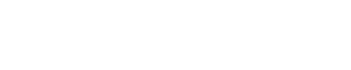 Lost Foxes