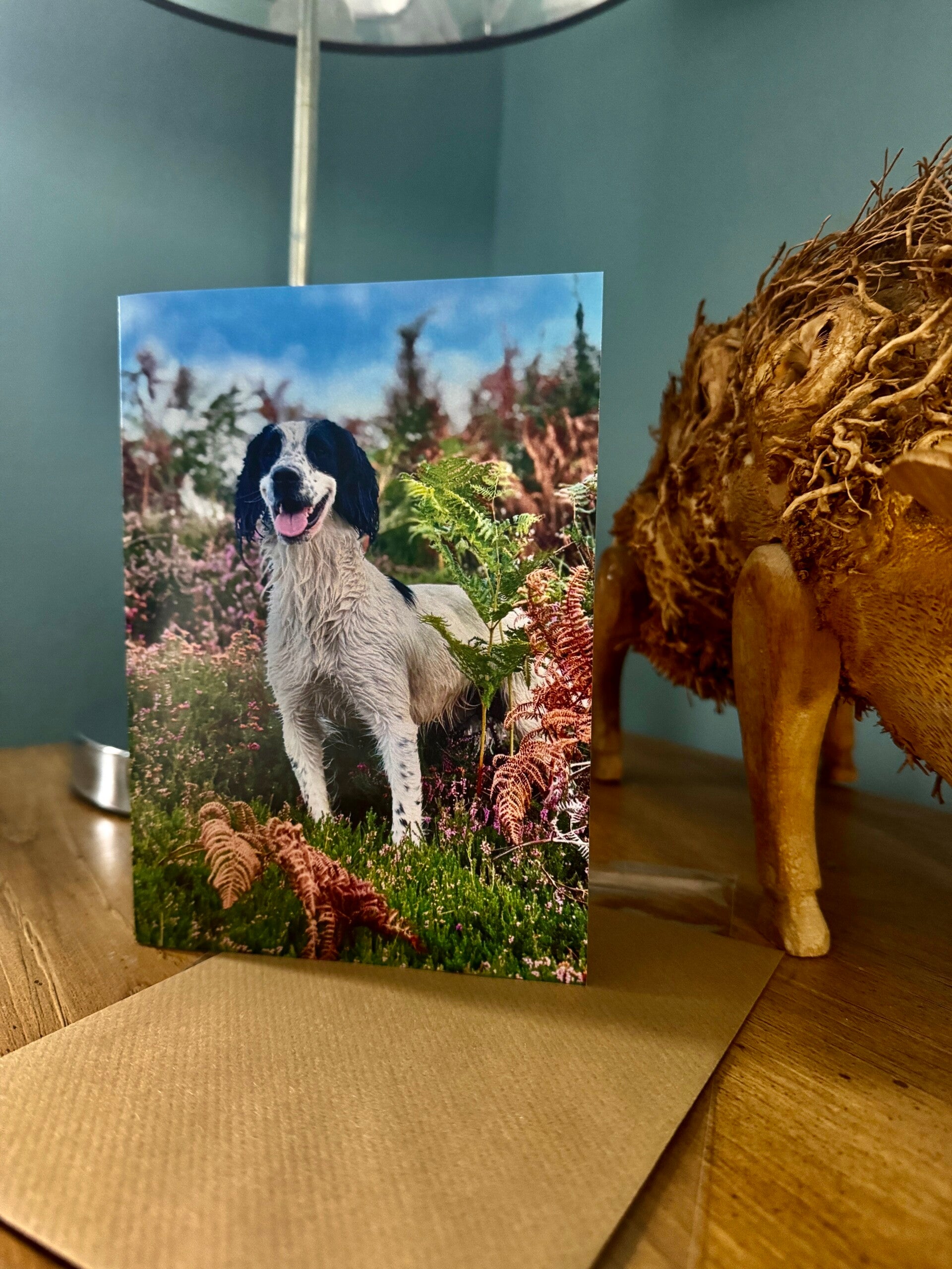 Photography Greetings cards (blank inside)