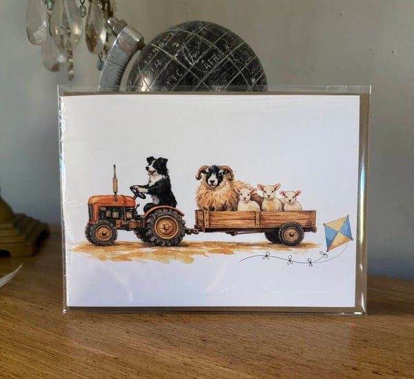 The Farm Lasses Border Collie, Sheep and Lambs Greetings Card