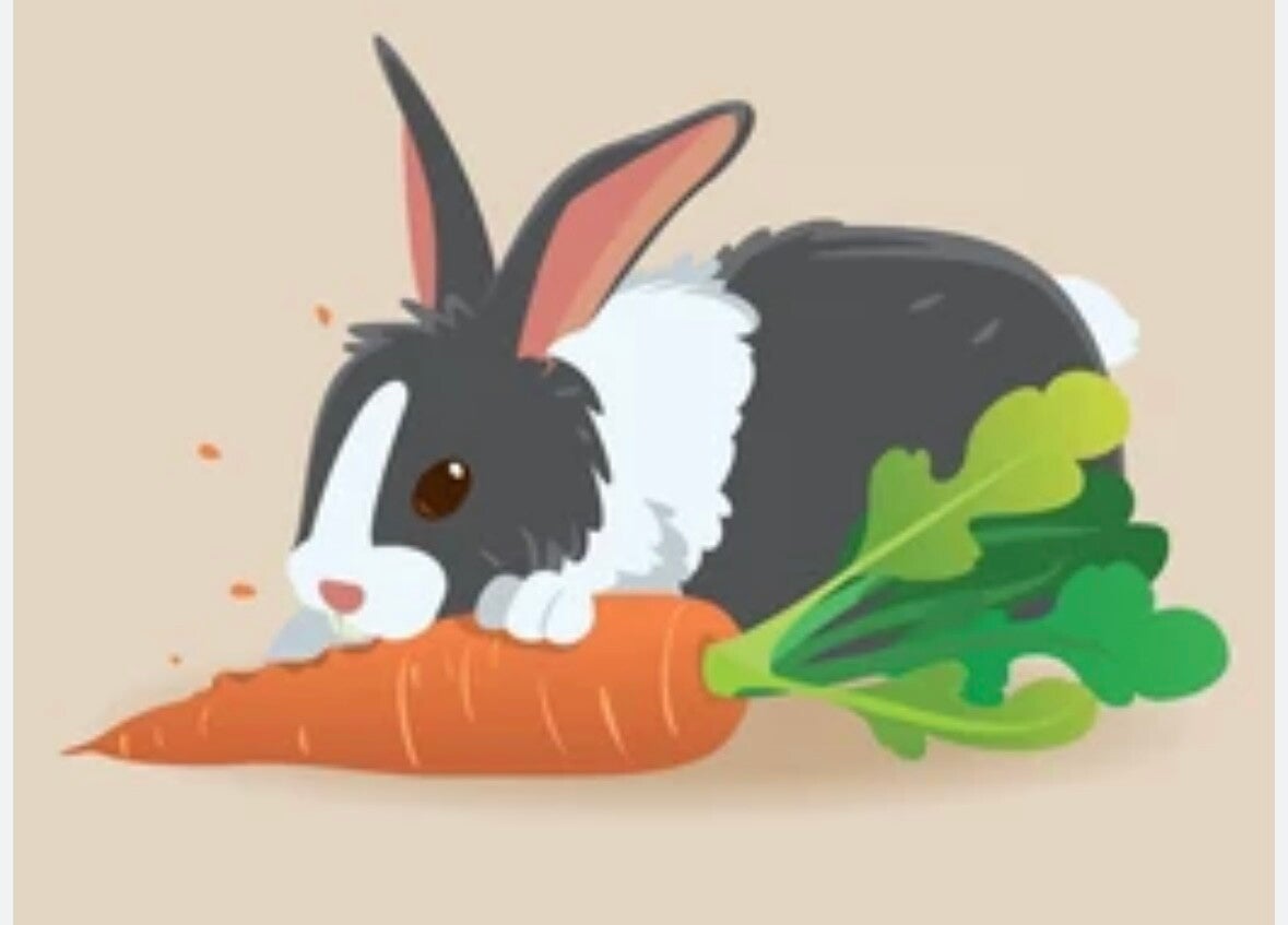 Small bag rabbit food