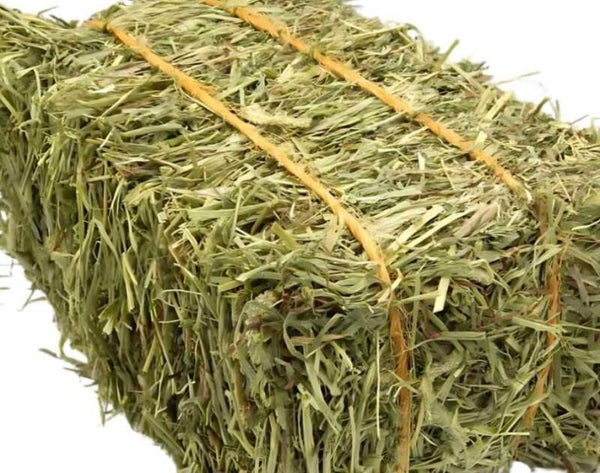 Bag of hay