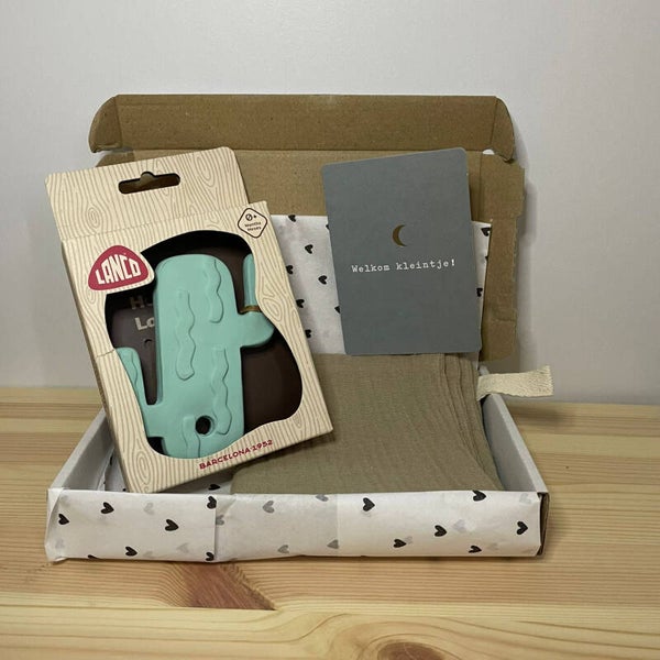 Brievenbus cadeau | Geboorte Cactus
