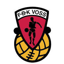fk-voss-standard.jpg