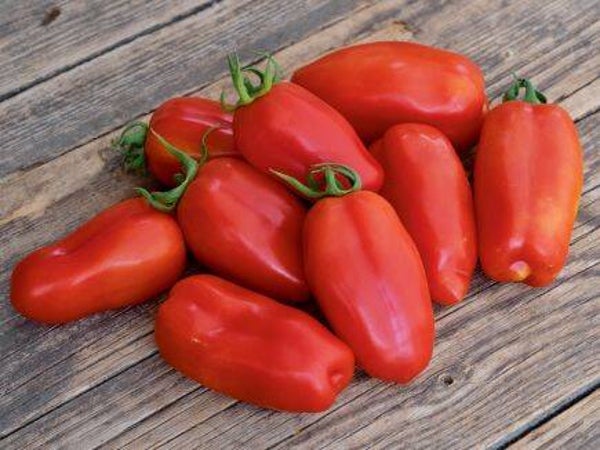 Tomaat - San marzano
