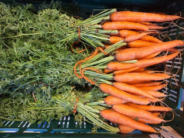 Wortel met loof- prijs per kg (bussel)