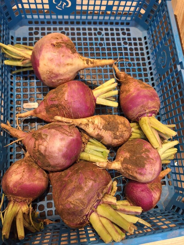 Herfstraap - prijs per 500g