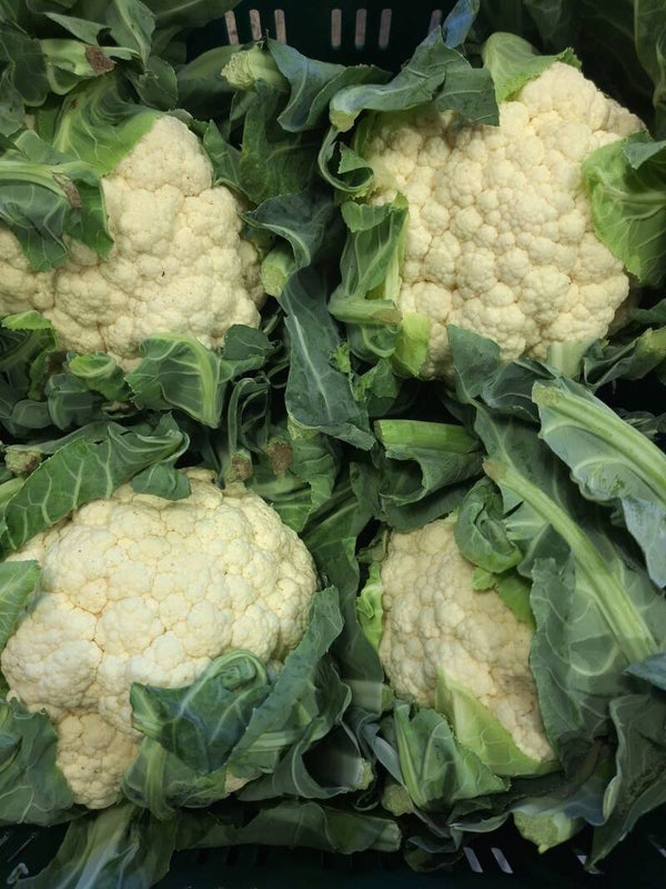 Bloemkool - Prijs per stuk