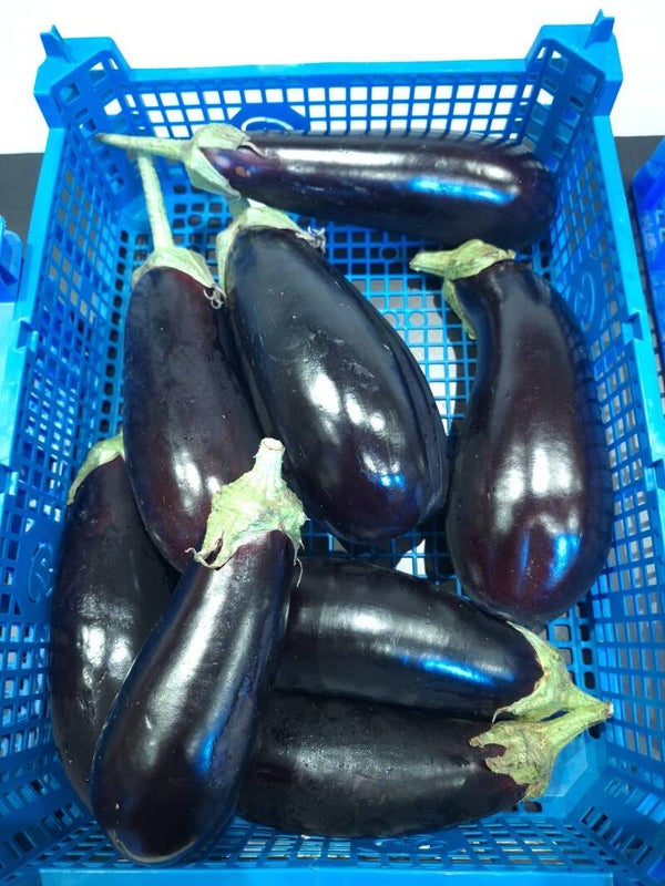 Aubergine - Prijs per 500g