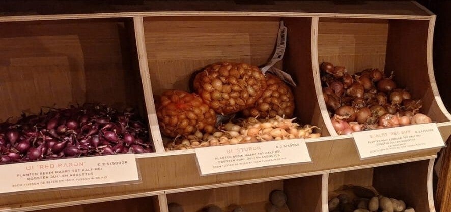 Plantui 'Red Baron' prijs per 200gr