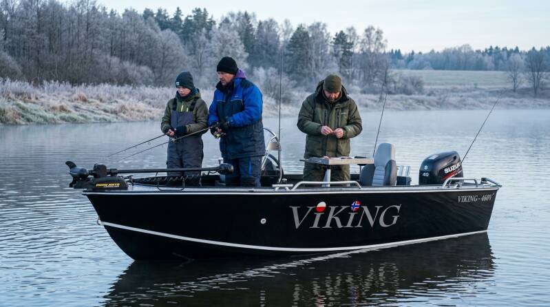 viking-460v-standard-1ze0d9.jpg
