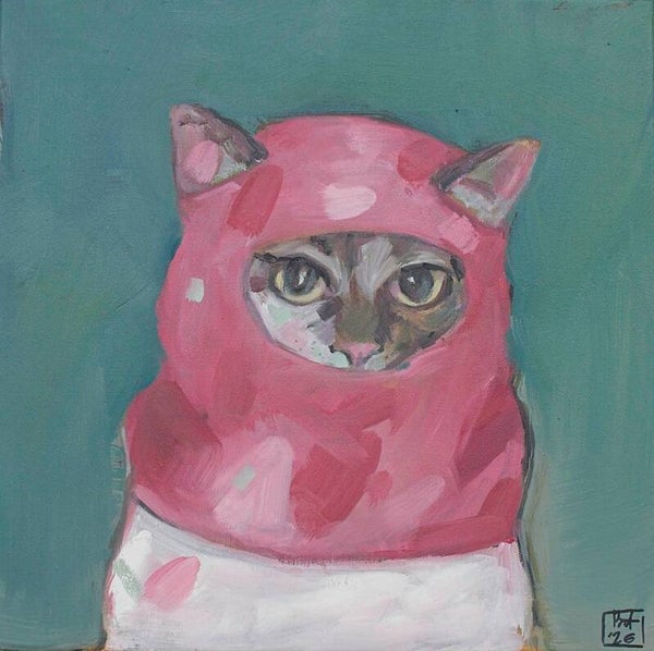 Cosmo cat