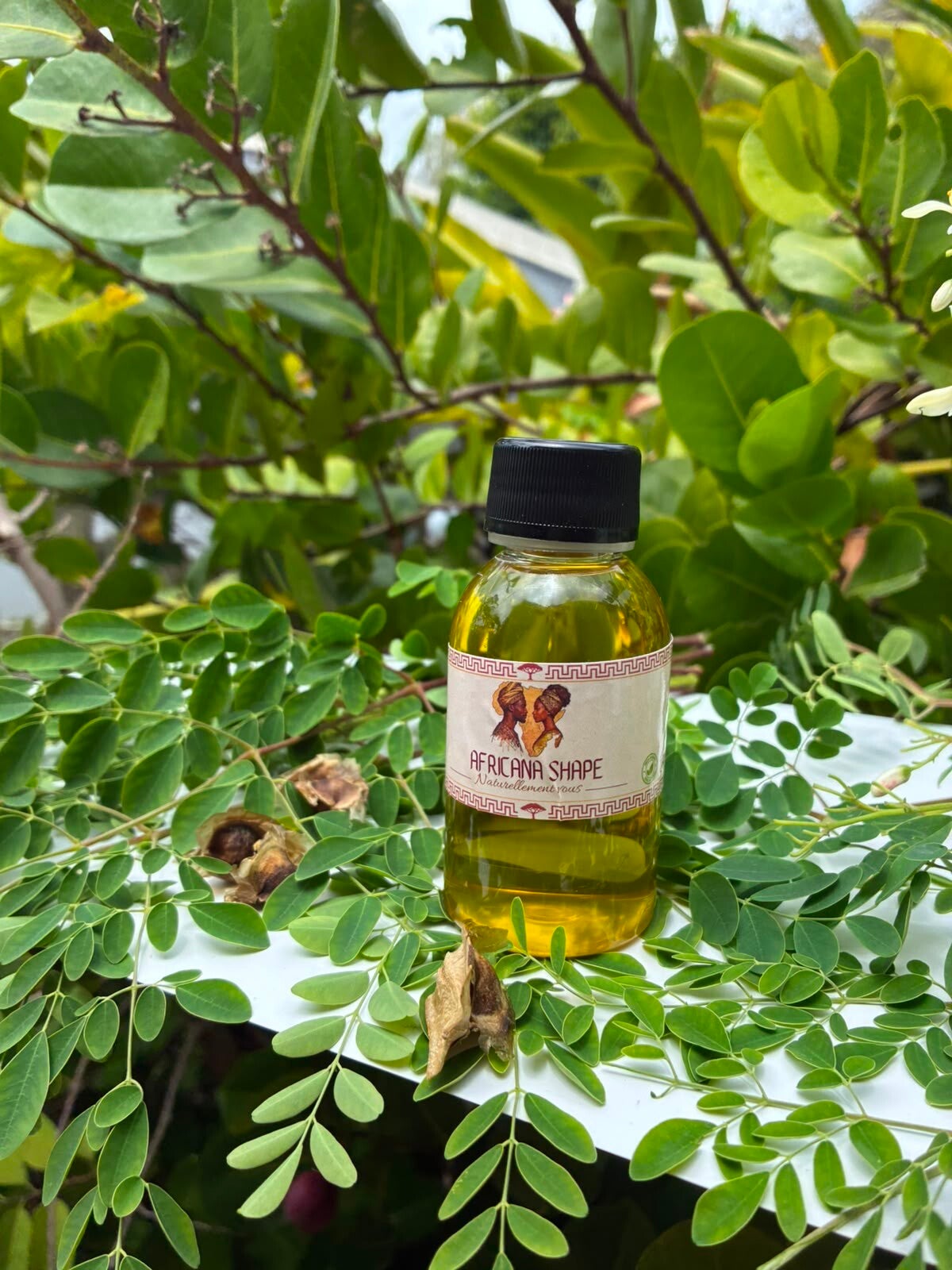 Huile de Moringa