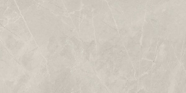 BAYONA SILVER NATUAL 60X120