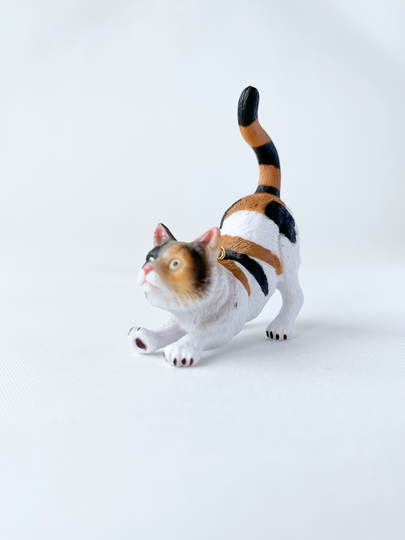 Bedel Kat