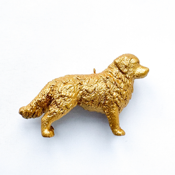 Hond bedel goud - Dierenbedel voor kinderketting