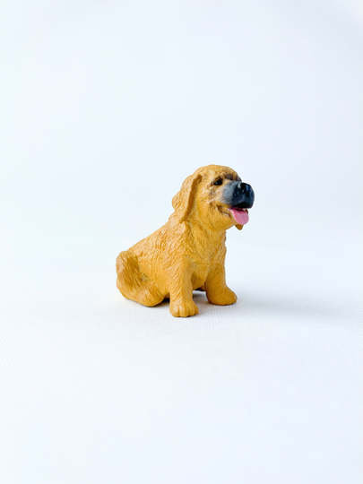 Bedel Hond Golden Retriever