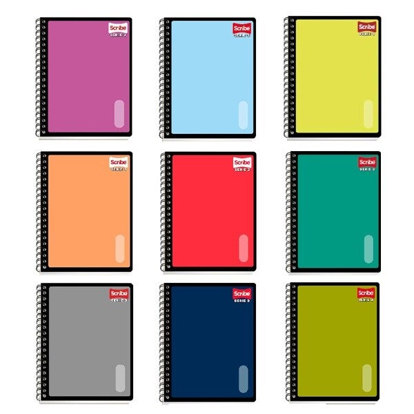 CUADERNO PROFESIONAL RAYA SERIE III 9650 SCRIBE