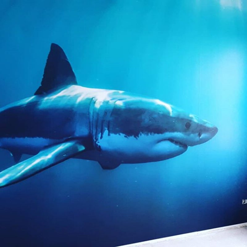 Fotobehang - MANDYMAAKT