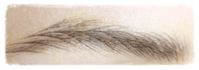 G.Sandra Dermopigmentation Réparatrice et Esthétique