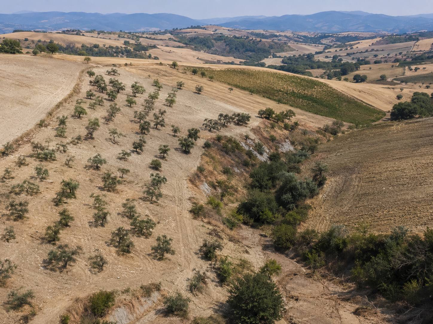 Climate-stressed productive landscape