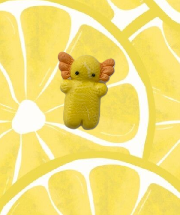 Sitruuna Axolot Magneetit