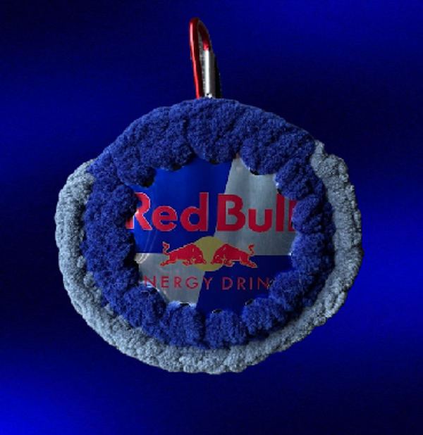 Bulli Kiekkopussukka