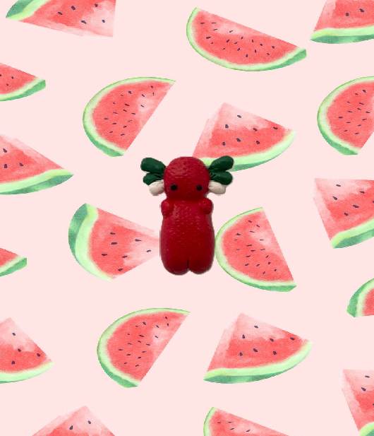 Vesimeloni Axolot Magneetti