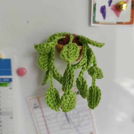 Aimant petite plante