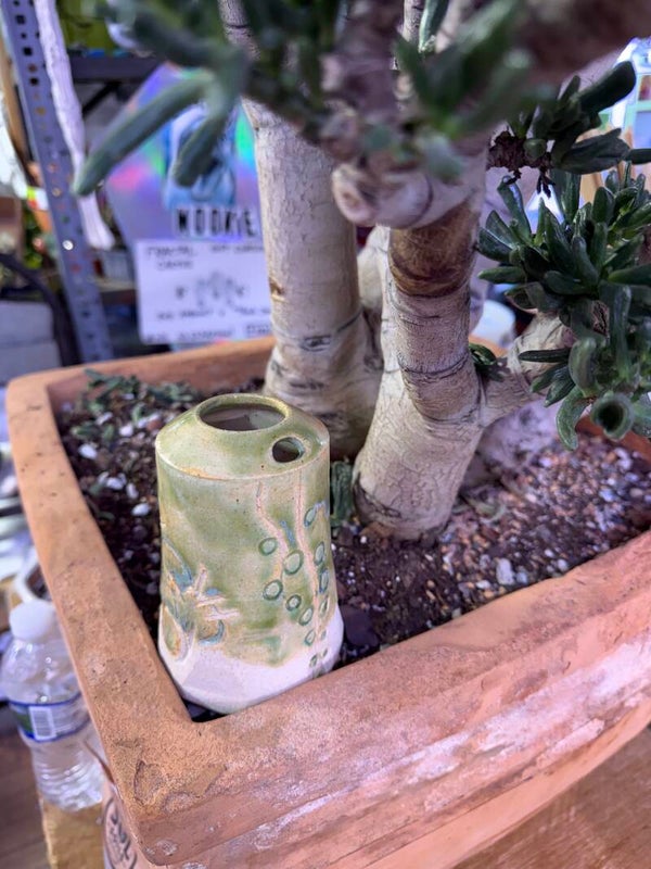 Cactus Tumbler