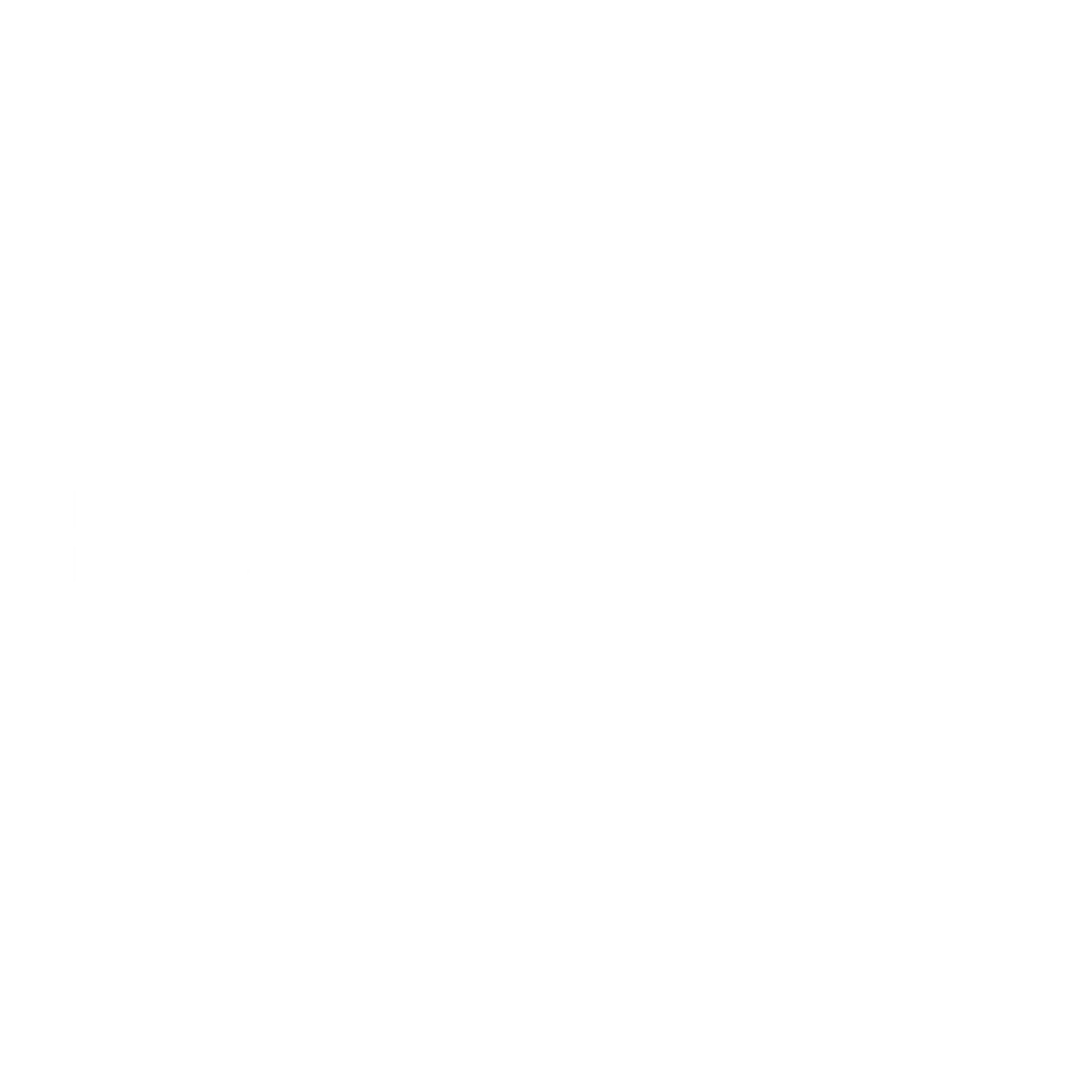Logo Electra Maxim