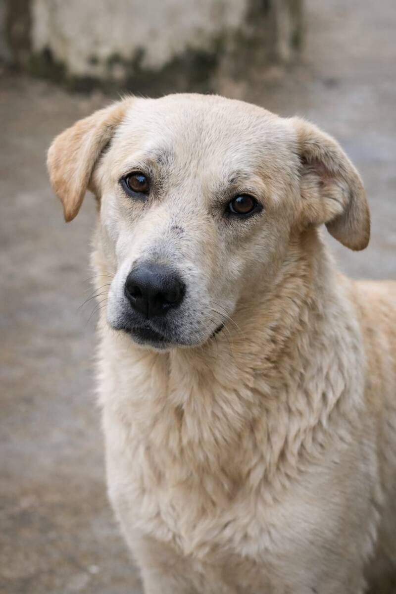 Chloe schaut mit ihrem hübschen Gesicht direkt in die Kamera