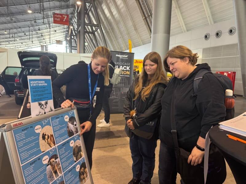 Welcher Hund könnte zu uns passen? 