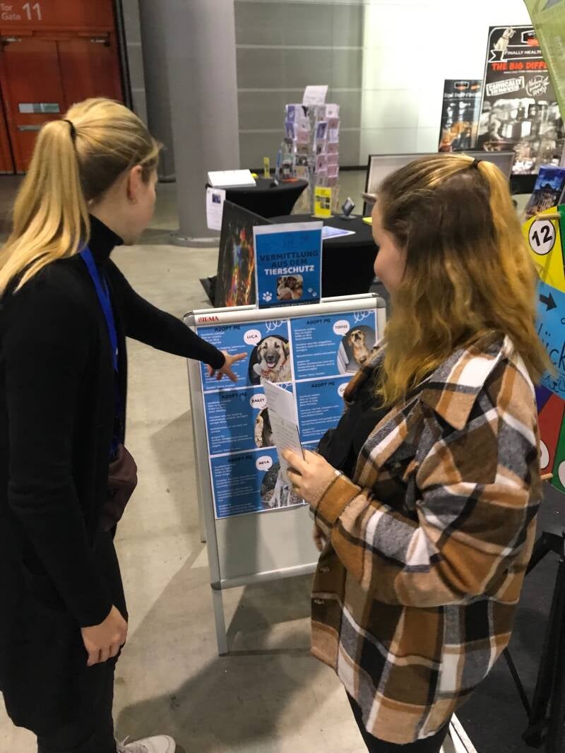 Interessierte erhalten fundierte Infos über unsere Vermittlungstiere