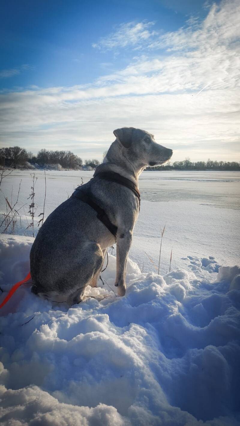 Jamal schaut sitzend im Schnee in die Ferne