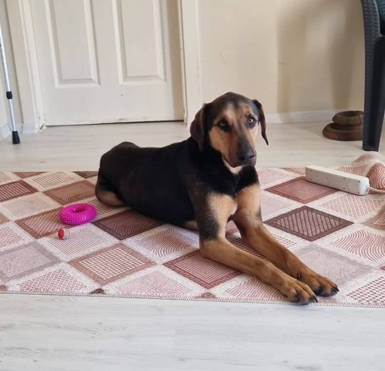Max