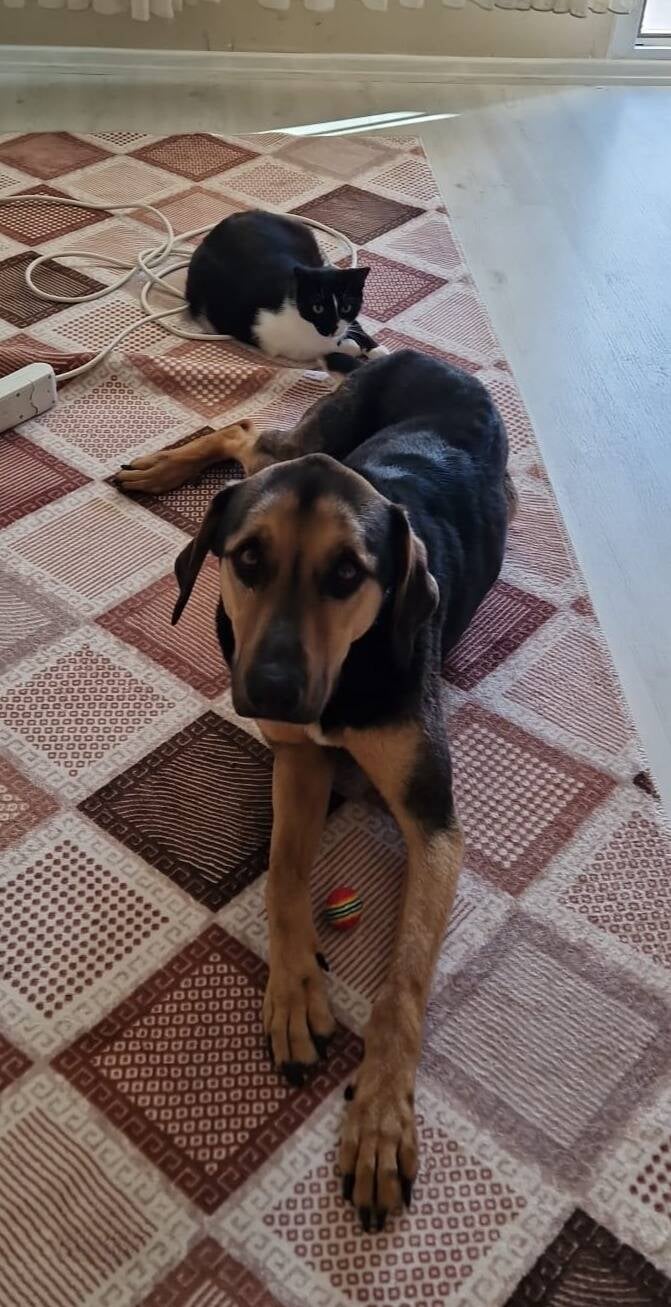 Max