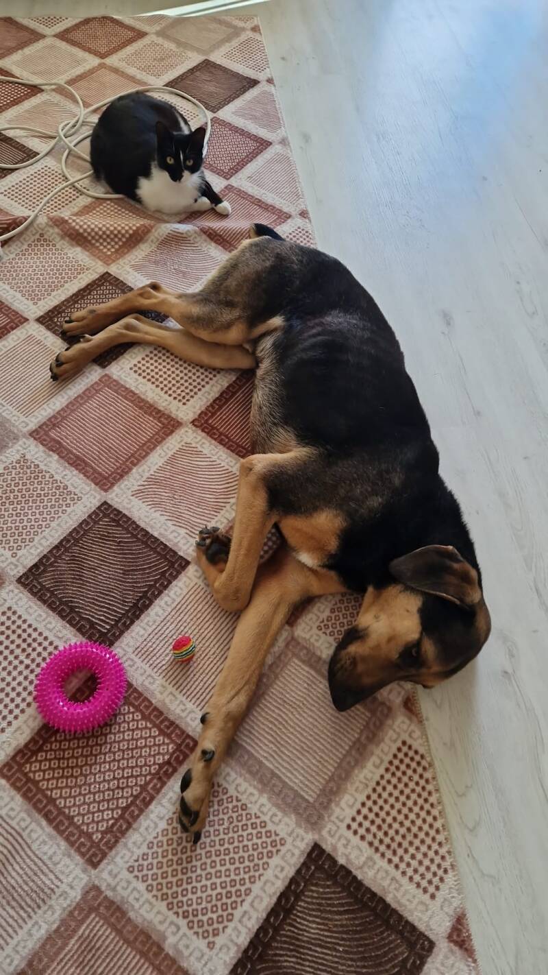 Max