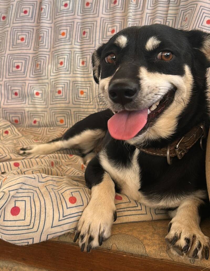 Misha