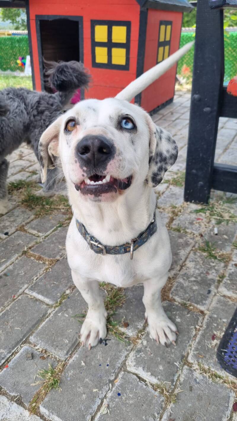 Molly