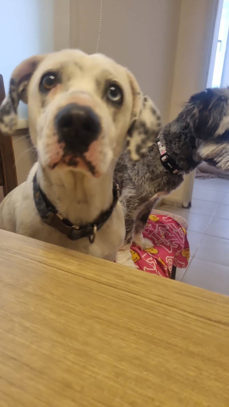 Molly