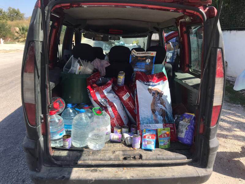 Inhalt unseres Kofferraums